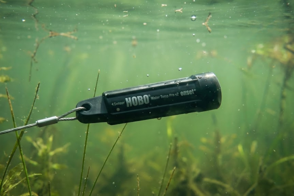 Water quality monitoring system