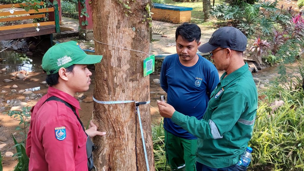 training alat uji pohon dinas pertamanan kota depok