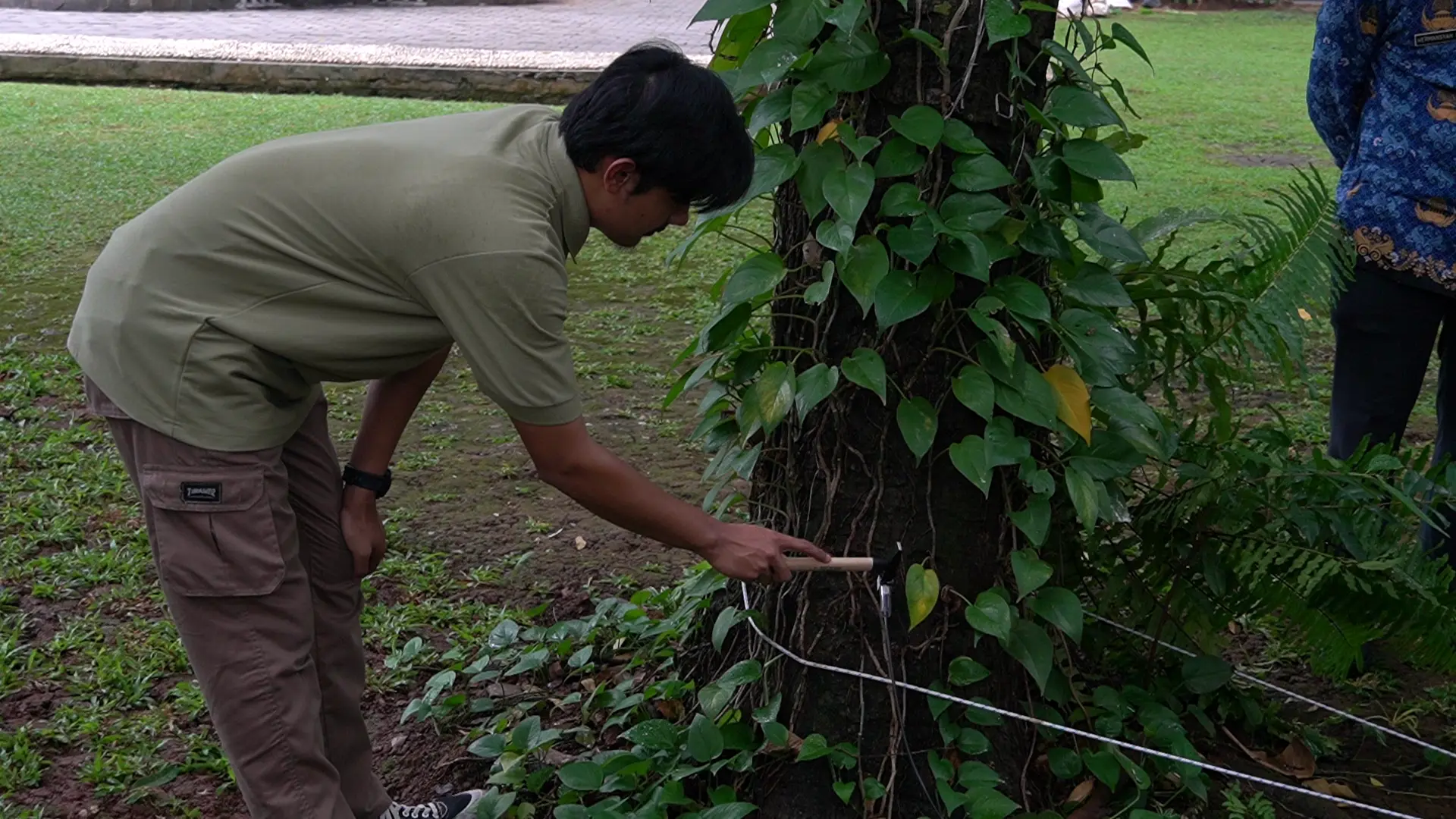 training alat deteksi akar pohon FAKOPP Root Detector