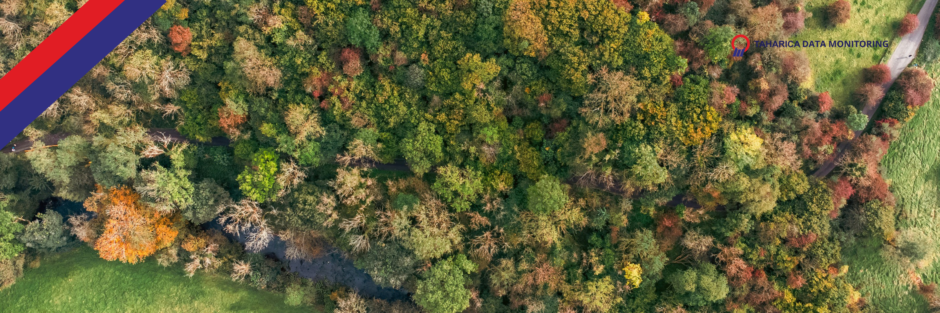 Water Level Kehutanan
