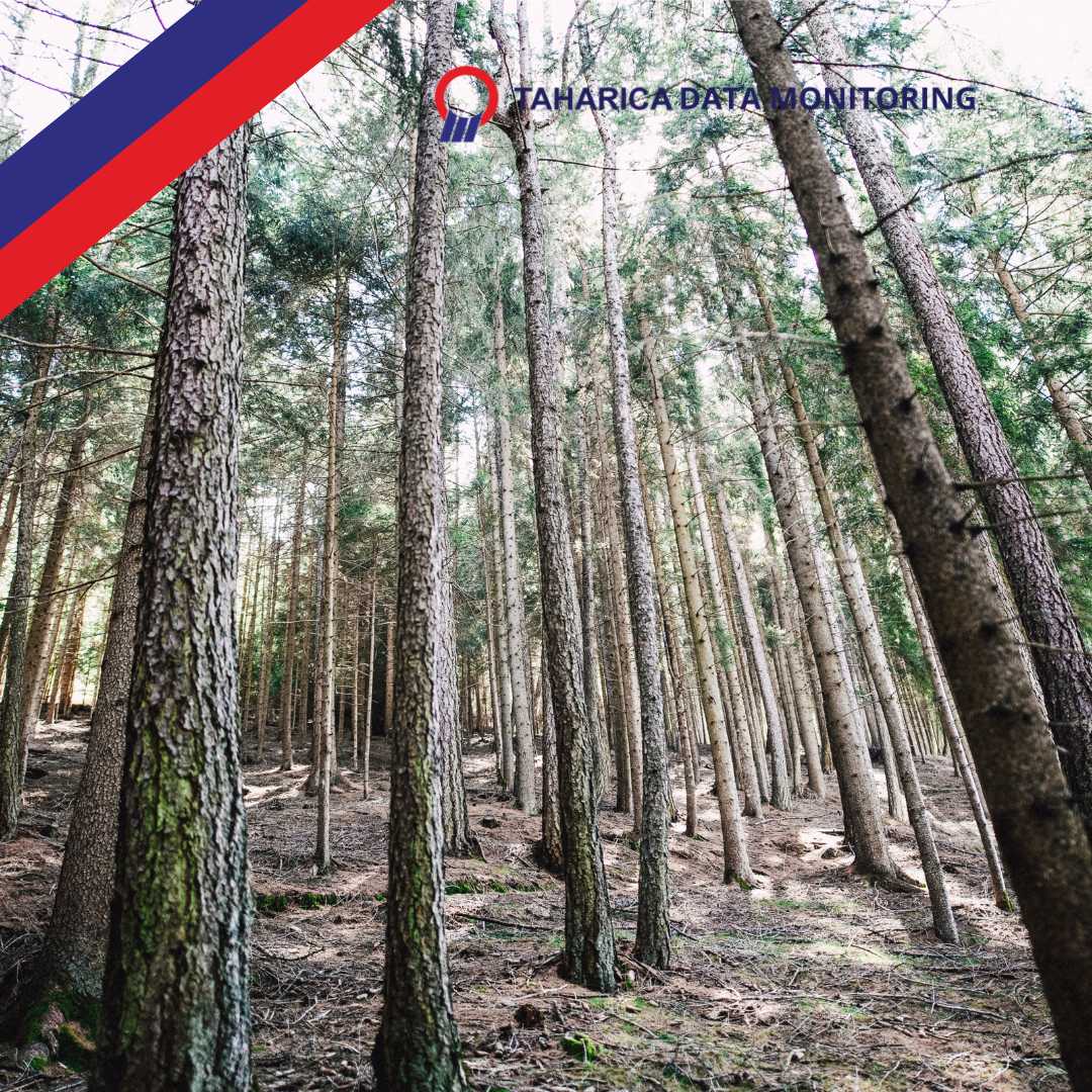 Water Level Kehutanan