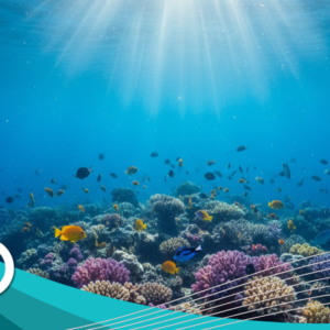 parameter kualitas air laut