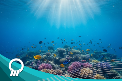 parameter kualitas air laut