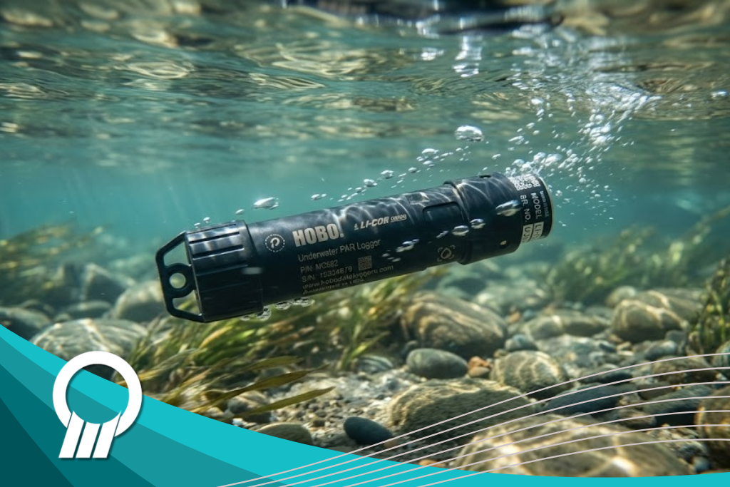 Water quality iot