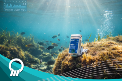 sistem monitoring kualitas air