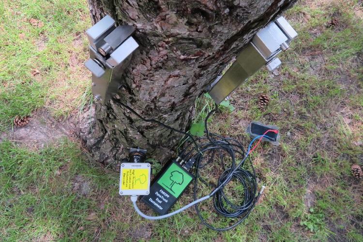 DynaTree Root and Trunk Testing System