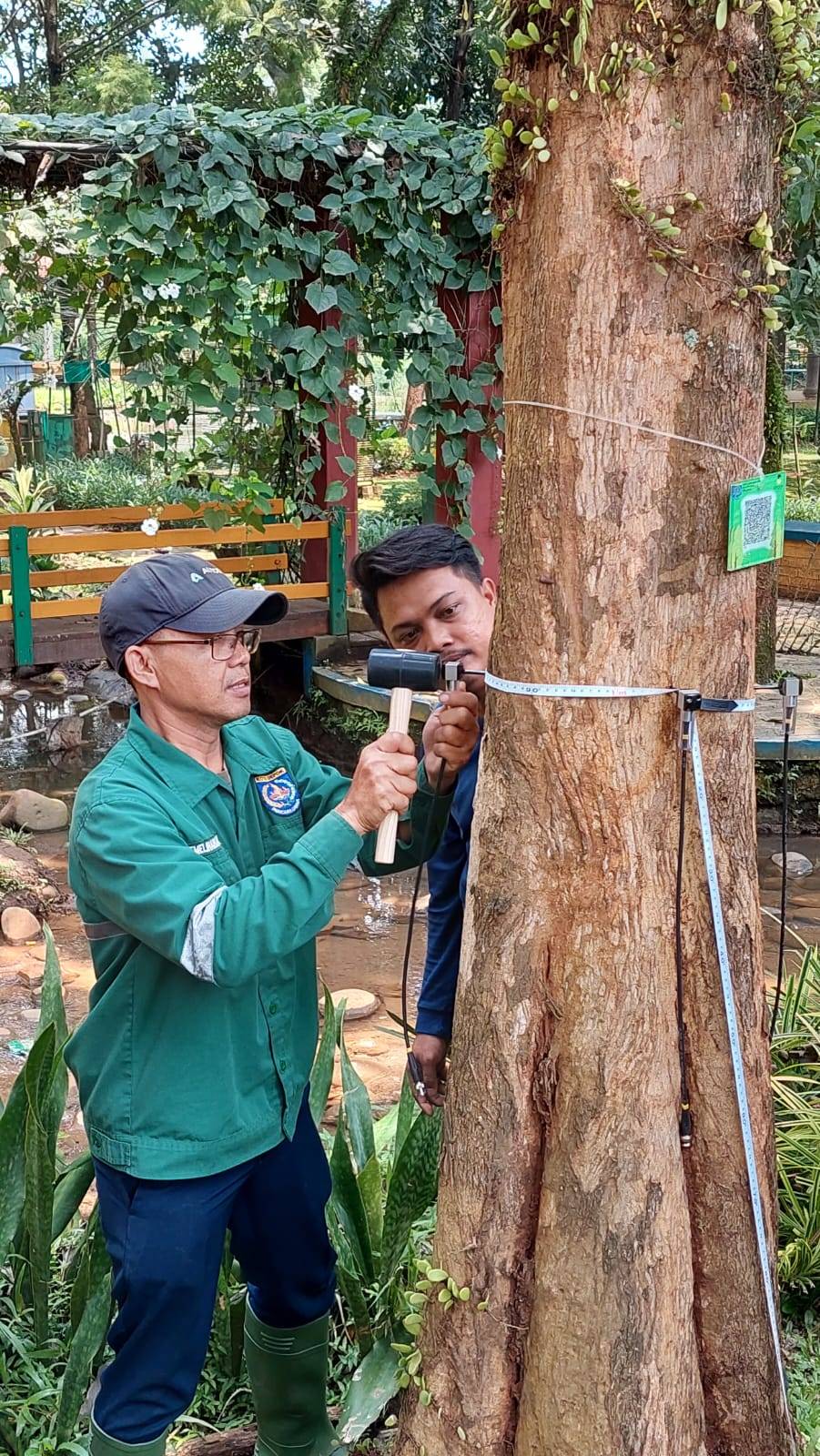training alat uji pohon dinas pertamanan kota depok